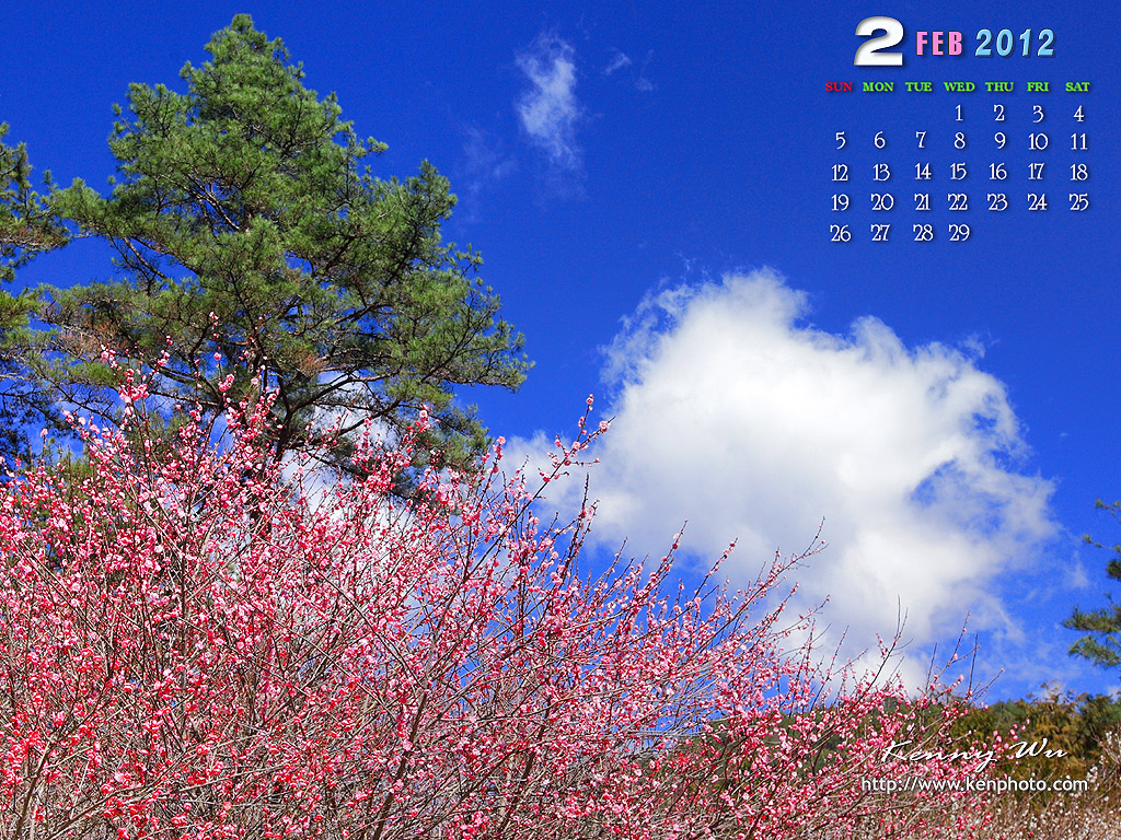 2012年2月份 图片