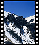 2004-snow44