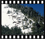 2004-snow47