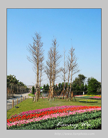 2004fl_088