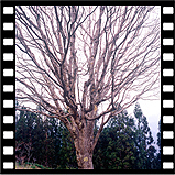 mffa_006