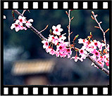 mffa_019