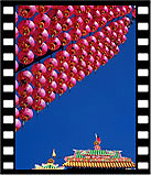 te-fair07
