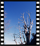 2005-n-ro20