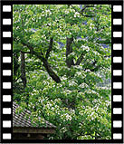 2007oif-058