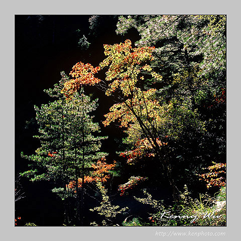 autumn_03