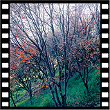 autumn_10