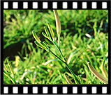 135_60m_4