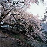 kos_002