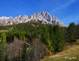 Img_0437